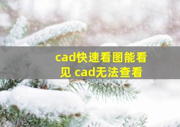 cad快速看图能看见 cad无法查看